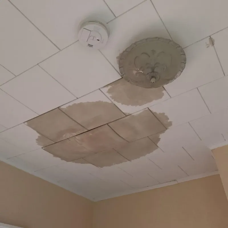 Ceiling Water Damage Repair in Bohners Lake, WI