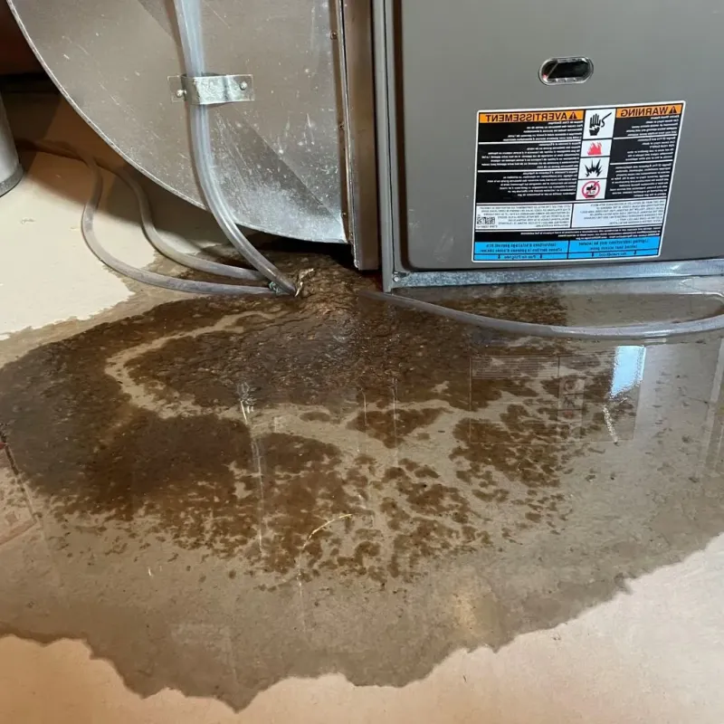 Pipe Burst and Leak Restoration in Bohners Lake, WI