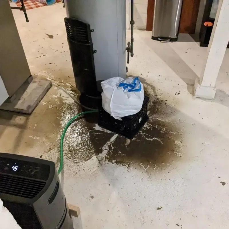 Sewage Backup Cleanup Service in Bohners Lake, WI